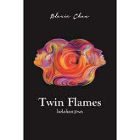 Image of Twin Flames : belahan jiwa