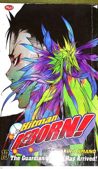 Image of Hitman Reborn! Vol.13